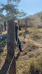 Así te enseño cómo hacer un cerco de alambre de púas, espero que te sirva 🤠 | Rodo Arcadia