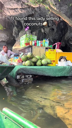 Canoeing the Ngo Dong River in Ninh Binh, Vietnam