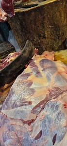 1M views · 6.2K reactions | Morning Meat Market Bangladesh #fbreels #reels #Meatlover #beefbrisket #beeflover #cookingessentials #fallflavors #seasonaltreats #seasonaldrinks #seasonalmenu #fallfood #localbusiness #seasonalflavors #fallmenu #comfortfood #beef #meat #mrbutcher #butcherbro #cowcutting #cuttingbro | Butcher Bro | Facebook