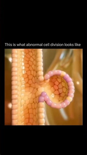 When Cell Division Goes Wrong… What Happens? #shorts #youtube #youtubeshorts #viral