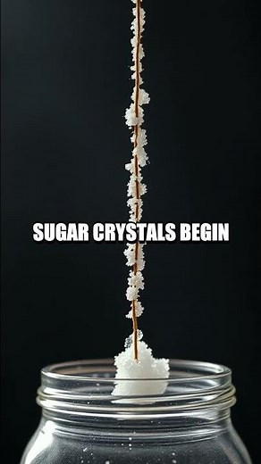 Home Lab Chronicles Five Quick Experiments for Curious Minds