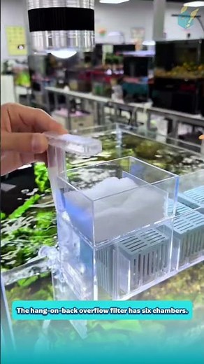 The hang-on-back overflow filter for the aquarium has up to six filtration chambers