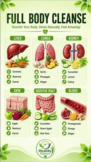Full Body Cleanse: Foods That Support Your Organs
