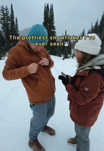 I’ve seen pictures, but now I’ve finally seen for myself why we draw snowflakes like this❄️☃️🩵 everything’s prettier in Utah hehe #snowflake #mountains #wintervibes
