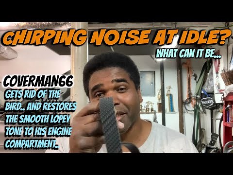 Chirping Noise at Idle? How To Fix Engine Chirp.