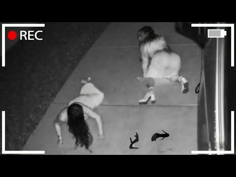 299 Real-Life Shocks Caught on CCTV Camera – Incredible Moments You Have to See!