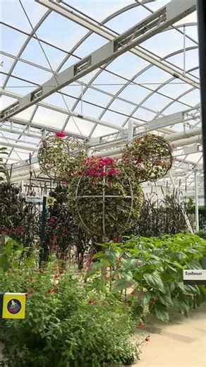 LIVING WITH THE LAND RIDE AT EPCOT | Walt Disney World in Orlando, Florida