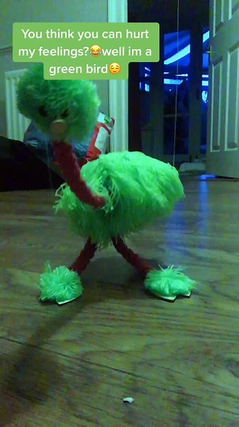 Yep I’m a green bird😌✌️#foryoupage #fypシ #puppet #mationettepuppet #greenbird