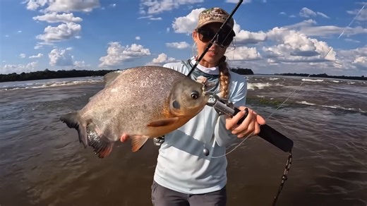 This kayak drifted into alligator territory