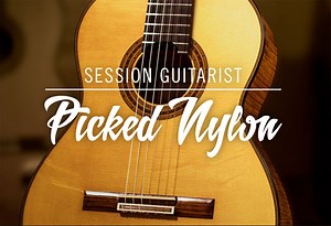 Session Guitarist Picked Nylon KONTAKT