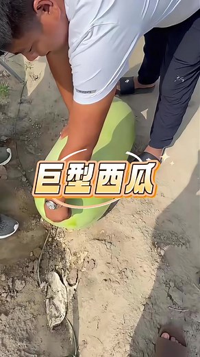 沙特巨型西瓜的惊人秘密
