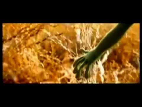 GEICO Insurance The Gecko's Journey Commercial (2011)