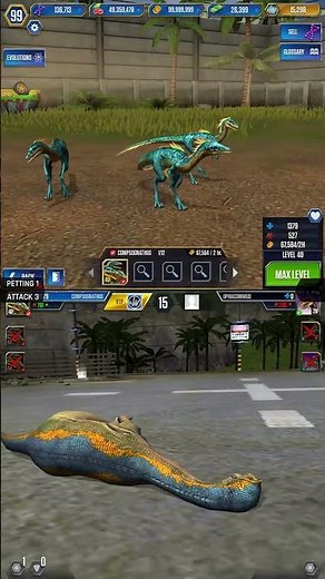 COMPSOGNATHUS ALL EVOLUTION & ALL ANIMATION | Jurassic World The Game
