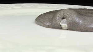 This could be the ultimate desk toy! Here's how you make it... Credit: Bearded Science Guy | UNILAD Tech