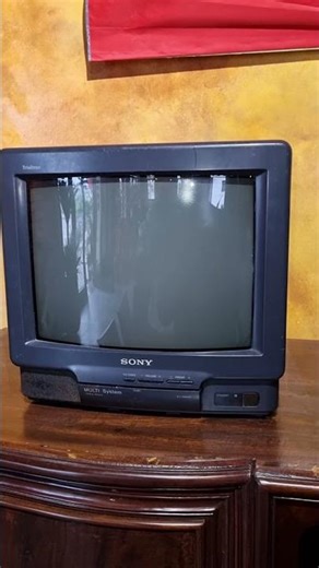 Take another look at the Sony 14 inch CRT TV