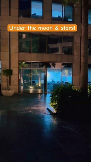 Hammock Camping Under the Moonlight 🌙 | Stargazing Setup & Relaxing Night in Nature