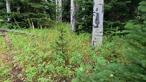 5.7K views · 138 reactions | Common Sense and Logic—The Great...