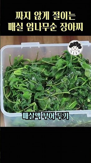 초간단 #엄나무순장아찌만드는법 🌿 소금, 매실액만으로도 정말 맛있는 장아찌예요. #일흔집밥 #개두릅 #엄나무순#두릅요리 #두릅장아찌 #개두릅장아찌 #봄제철음식