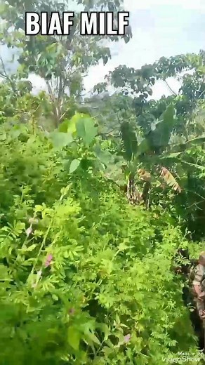 17K views · 948 reactions | Task force ittihad MILF BIAF mojaheden ☝️ | sam mapandaya | Facebook