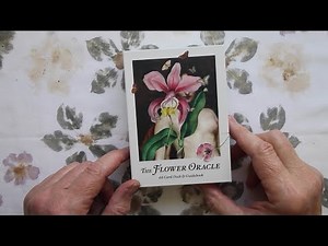 The Flower Oracle #playingwithpairs #oraclecards