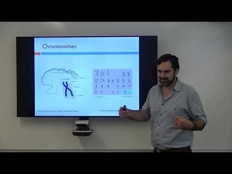 Nucleotides, Chromosomes, and Haplotypes... Oh My!