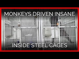 Isolation and Psychosis in a U.S. Laboratory