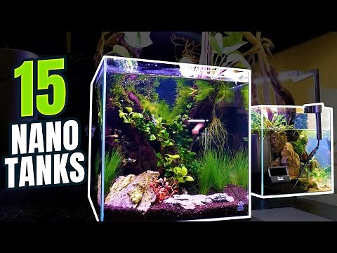 15 AMAZING Aquascaped Nano Aquariums that will Inspire You!
