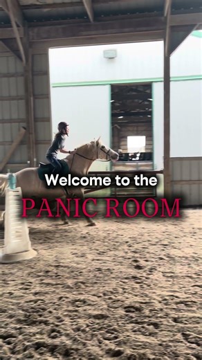 Panic room #horse #equestrian