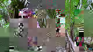 2.4K views · 97 reactions | New Video! Watch our adventures along the Monkey River with Get To Know Belize Adventures. How many animals are you able to spot in the video? We want to know! It's your turn to experience this tour with your family https://belizing.com/Monkey-RiverManatee-Watch-Tour-Placencia-Visit/ | Belizing.com | Facebook