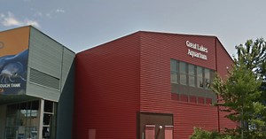 New 'Oceans Alive' exhibit opens at Duluth's Great Lakes Aquarium