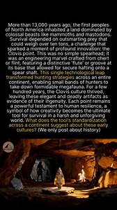 21K views · 231 reactions | This stone tool changed a continent, but how did early cultures share the design so widely? #history #ancienthistory #archaeology | Revealed | Facebook
