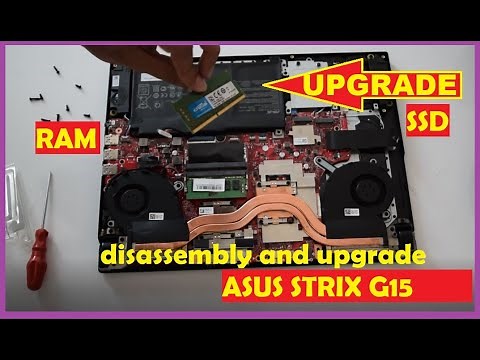 Asus ROG Strix G15 Upgrade RAM SSD Disassembly i5 10300 GTX 1650TI Guide