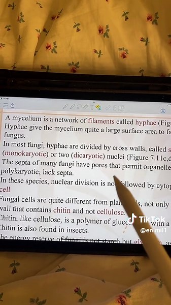 أفضل برامج دراسية لترجمة السلايدات والنوتات