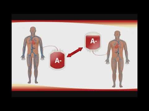 LAS PLAQUETAS ALTAS Y CONSEJOS PRACTICOS#67