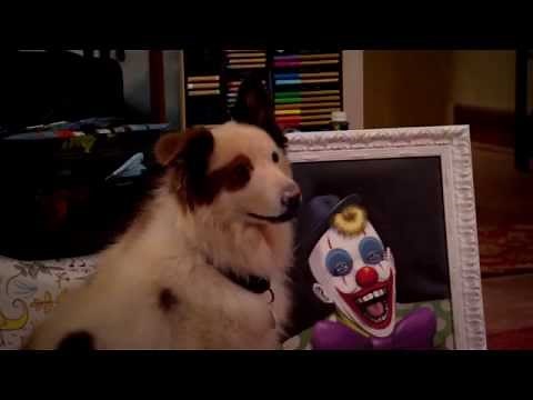 Dog With A Blog - Ellen's Gifts