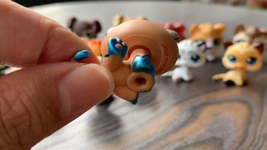 05050bd954d644cb849c381a0b76e335