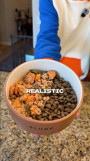 Get 23 homemade dog food recipes by clicking the link on our main channel page 👉