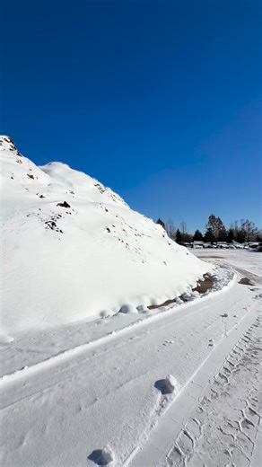 Forget the local sledding hills… our mulch yard just dropped two new mountains: Brush Mountain & Leaf Peak 🏂🎿 Please admire from afar! These slopes are strictly for tree debris only 😂 #SnowDays #TreeCareHumor #Mulch #Leaves #Sledding #TreeCare #Arborist #TreeCare #Chicago #Arboriculture #SnowDay | Kramer Tree Specialists, Inc.