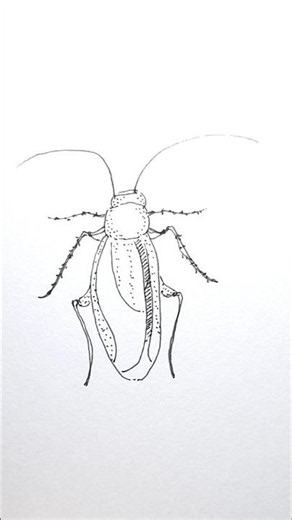 cockroach janta party #drawing #shorts #shortvideo