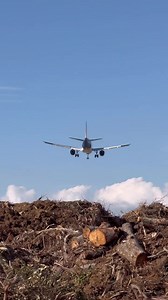 2.3K views · 45 reactions | Welcome to Clearwater Florida | Tri-County Tree & Bobcat Service Inc. | Facebook