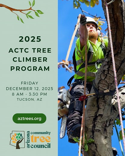 Join us for the ACTC Tree Climber Program (formerly the Tree Workers Workshop) — a hands-on, classroom and demonstrational training for anyone looking to review or level up their tree climbing knowledge. Friday, December 12 8:30am–3:30pm | Tucson, AZ Register now: aztrees.org/event-6372161 | Arizona Community Tree Council | Facebook