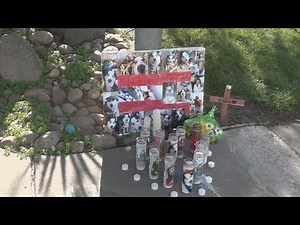 Lodi family seek justice for dog killed with taser after allegedly chasing children