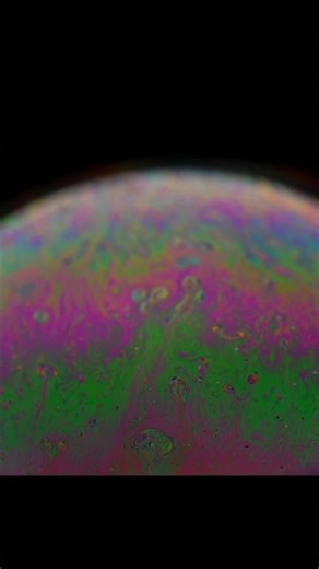 Microcosmos in Motion