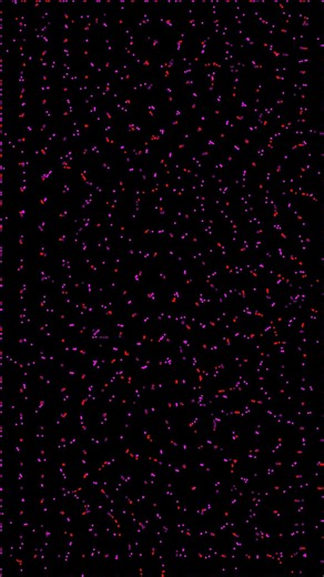 Particle Life Simulation - %s