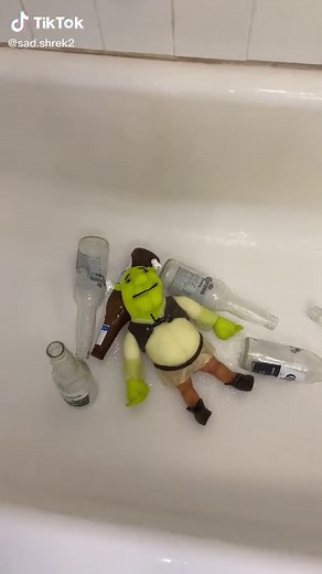 Sad Shrek on TikTok