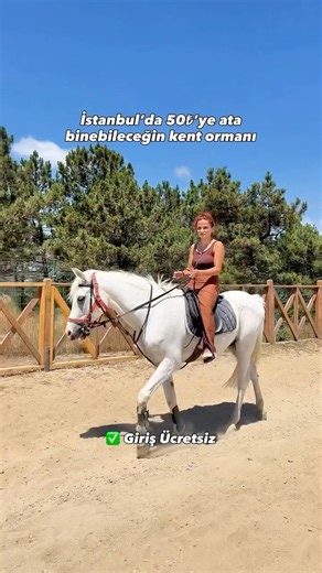 İstanbul’da 50₺’ye ata binebileceğiniz harika bir kent ormanı 💚