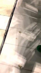 3.2K views · 297 reactions | Peace ❤️‍啕 | Belief in Islam | Facebook