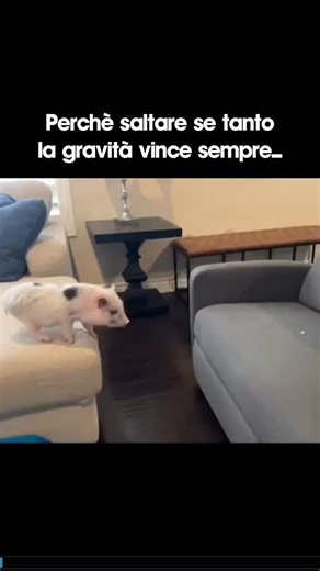 Giovanni DOC Fenu | Metodo di Studio | Apprendimento Fenomenico on Instagram: ""Nulla ha senso". La frase che può distruggerti la vita... o salvartela per sempre. Se pensi che "niente abbia importanza", finirai depresso a letto o diventerai incredibilmente efficace e felice? La scienza e la filosofia rispondono: dipende da quale tipo di nichilista sei. Le ricerche psicologiche dividono il fenomeno in due categorie distinte, con effetti opposti sul cervello e sui risultati. 1. Il Nichilismo Passi