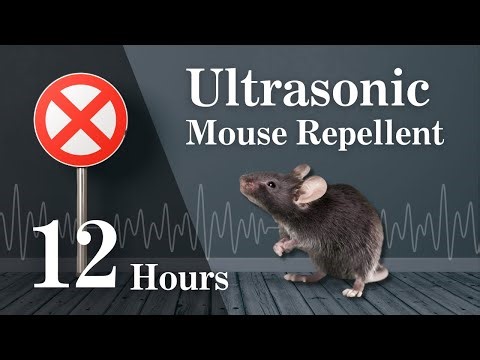 Powerful Ultrasonic Mouse Repellent | Keep Mice Away | 12 Hours
