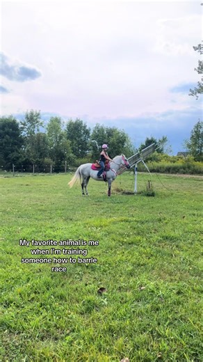 Essential Tips for Training a Good Barrel Racing Horse